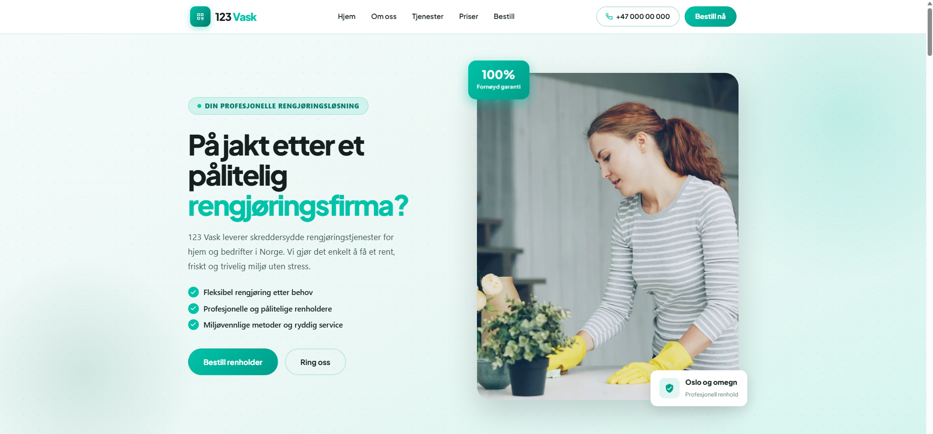 123 Vask website design