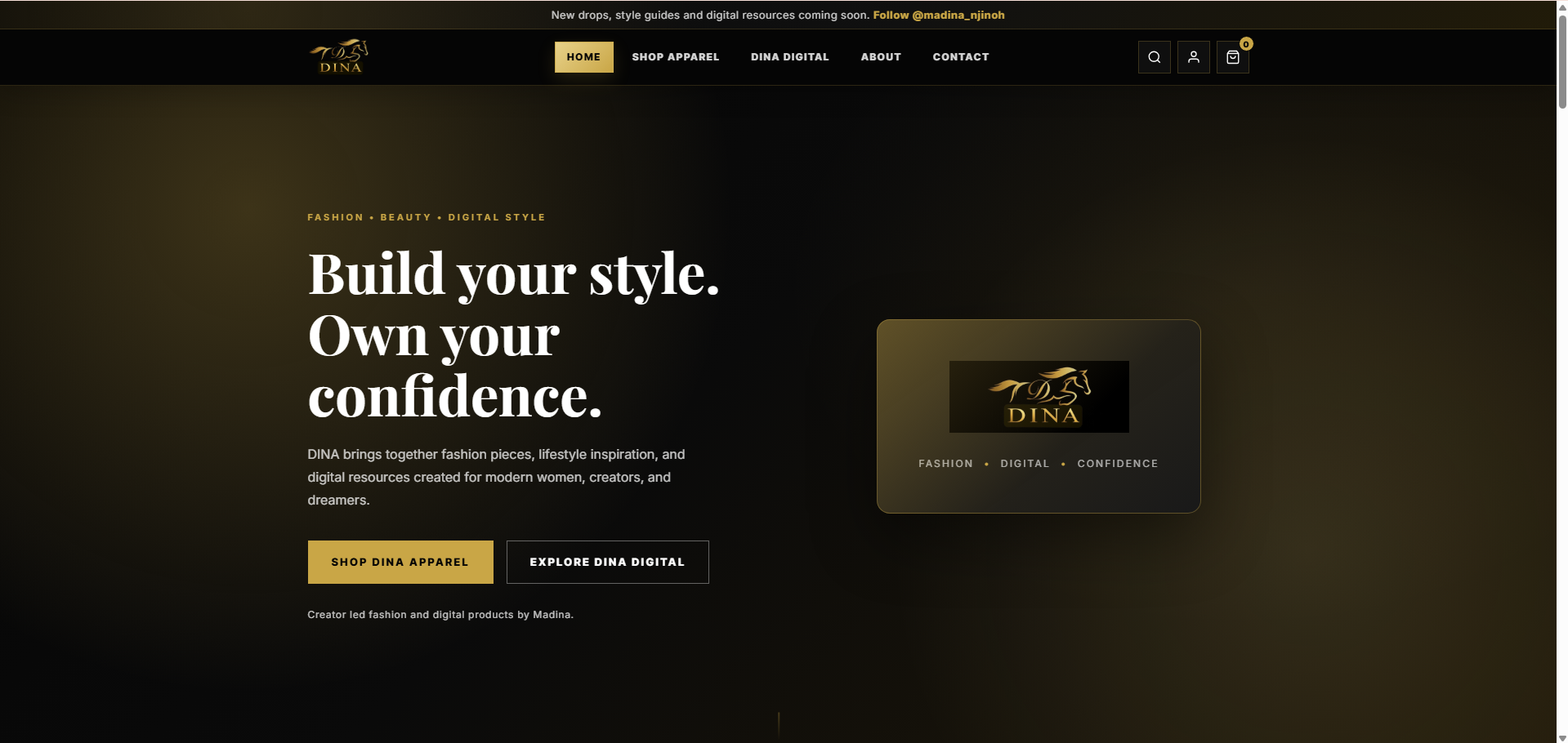 DINA website design